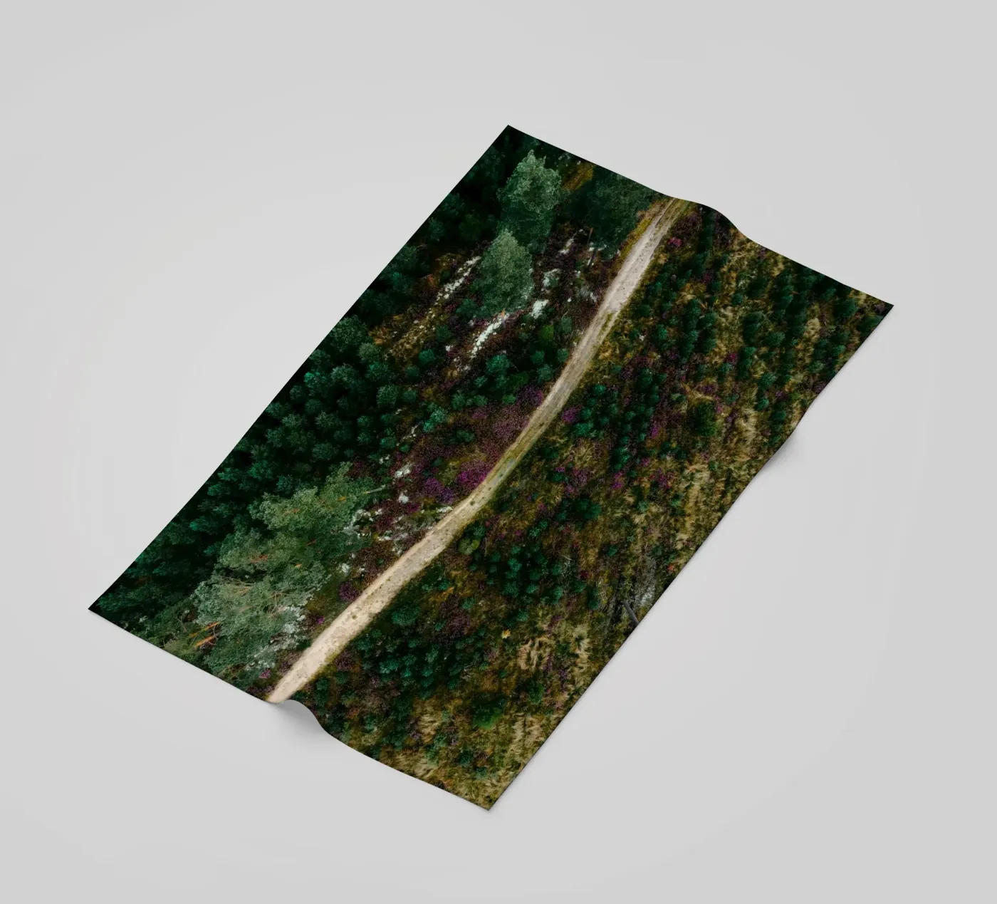 chemin dans la forêt serviette de plage de Earthly Visions