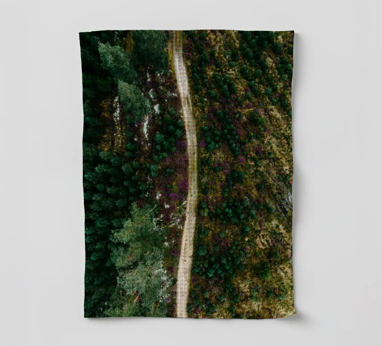 chemin dans la forêt torchon de Earthly Visions