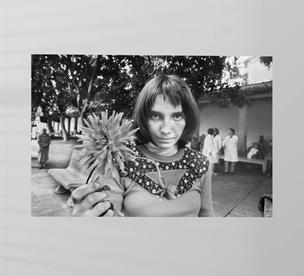 Letizia Battaglia Via Pindemonte pellicola backlit da Watson