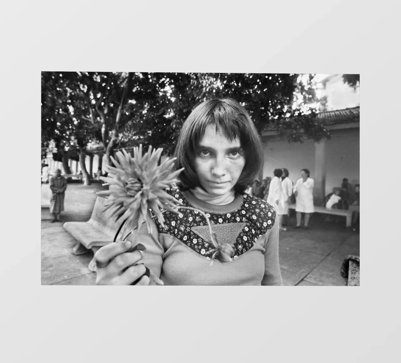 Letizia Battaglia Via Pindemonte pellicola backlit da Watson