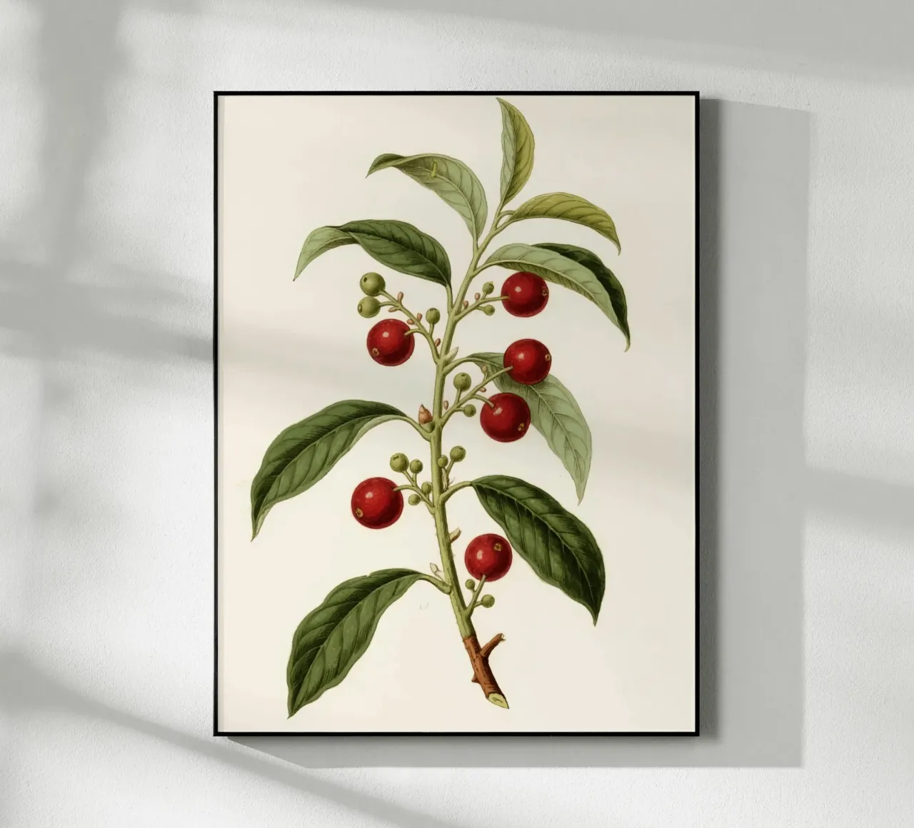 Impianto plexiglass da knowledge