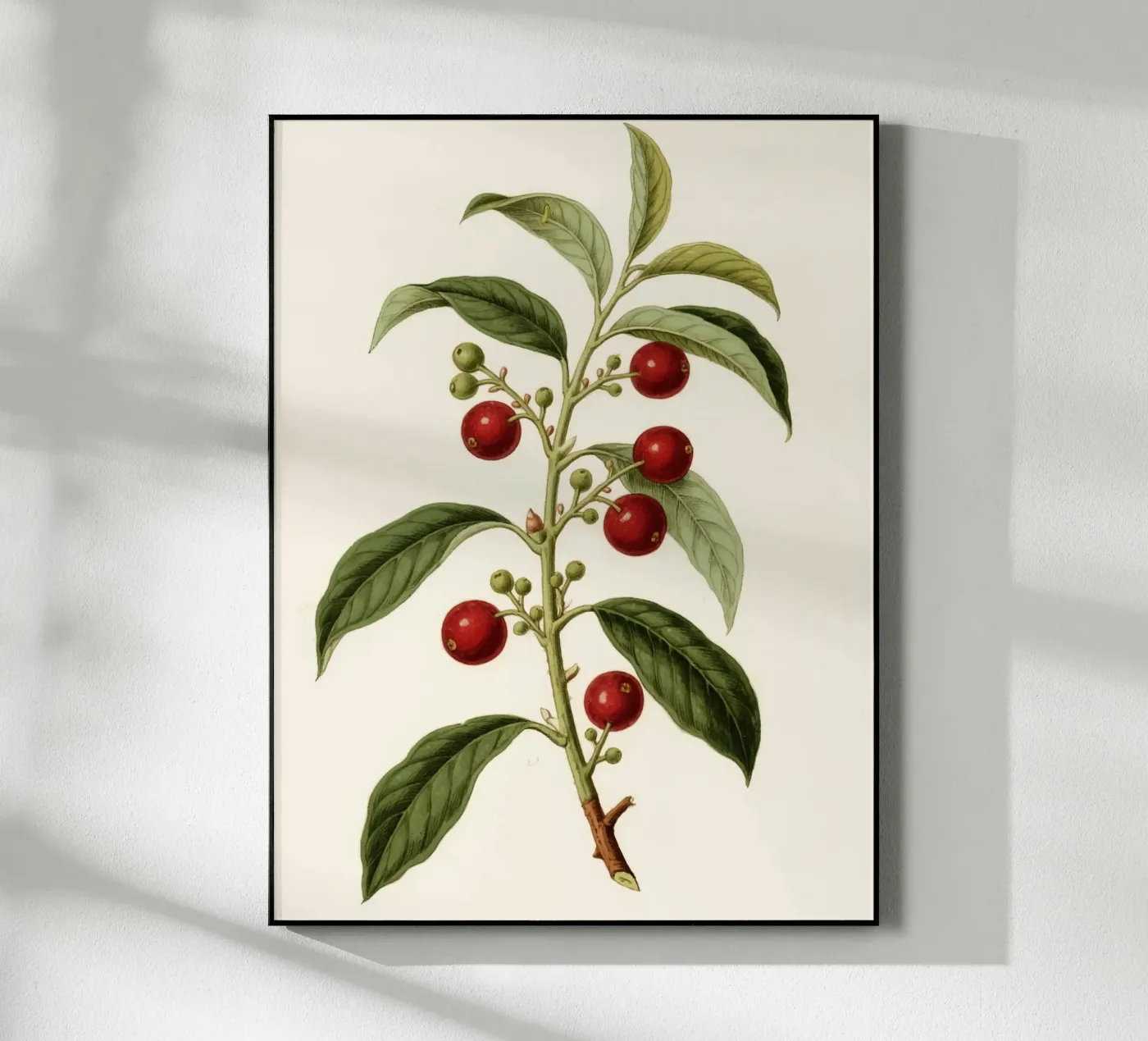 Pflanze Acryl-Glas von knowledge