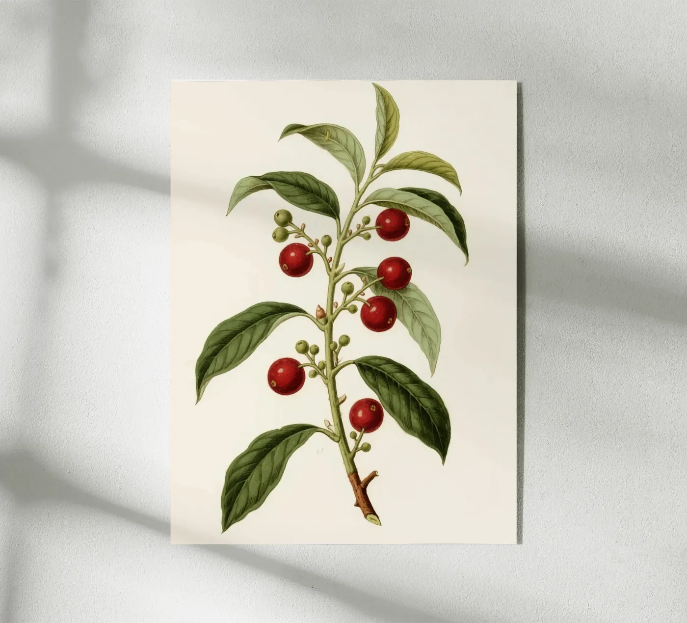 Pflanze Acryl-Glas von knowledge