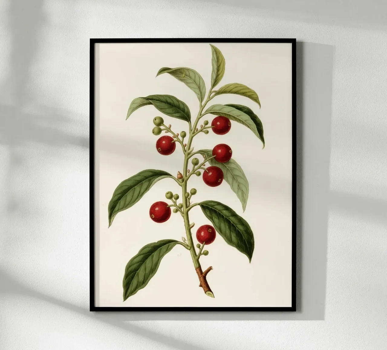 Plant poster by knowledge