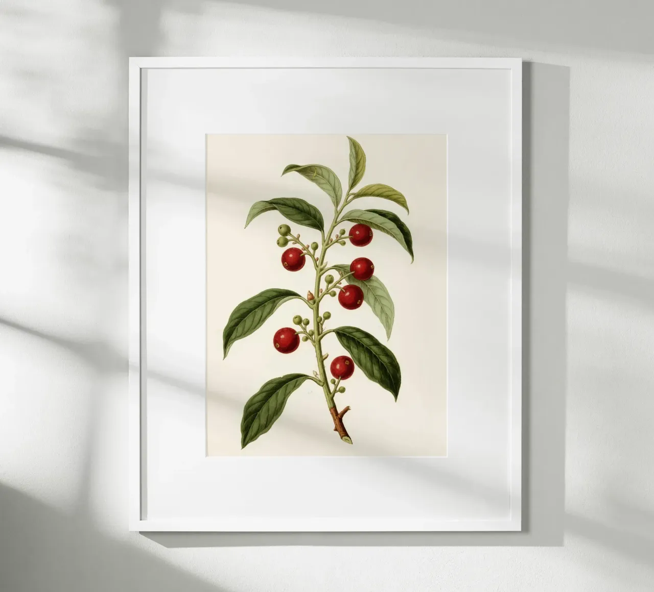 Plant poster by knowledge