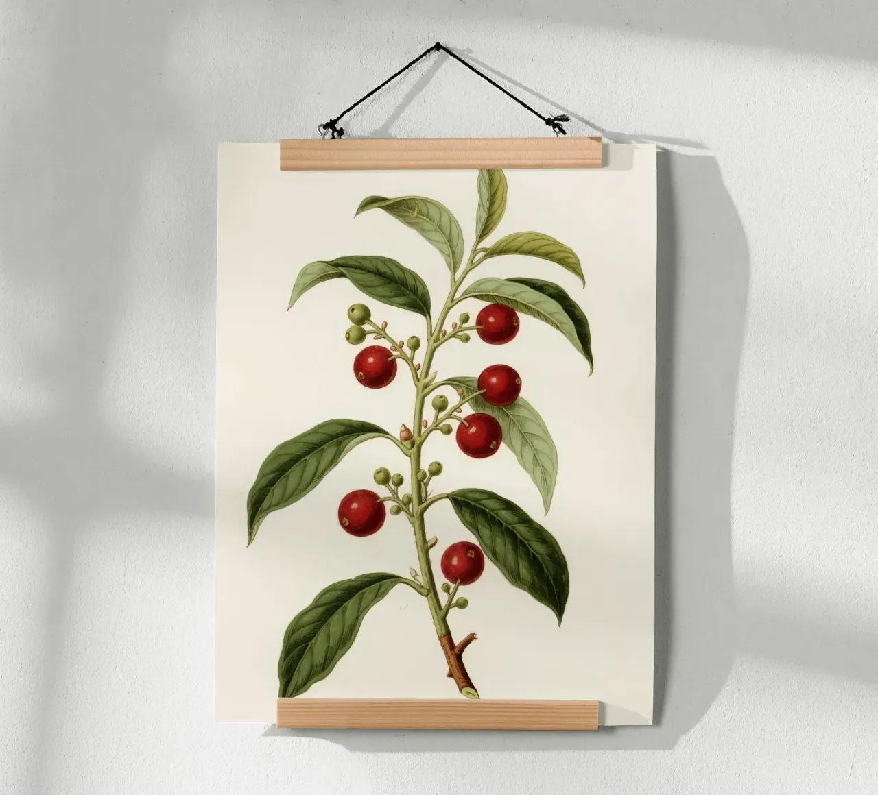 Plant poster by knowledge