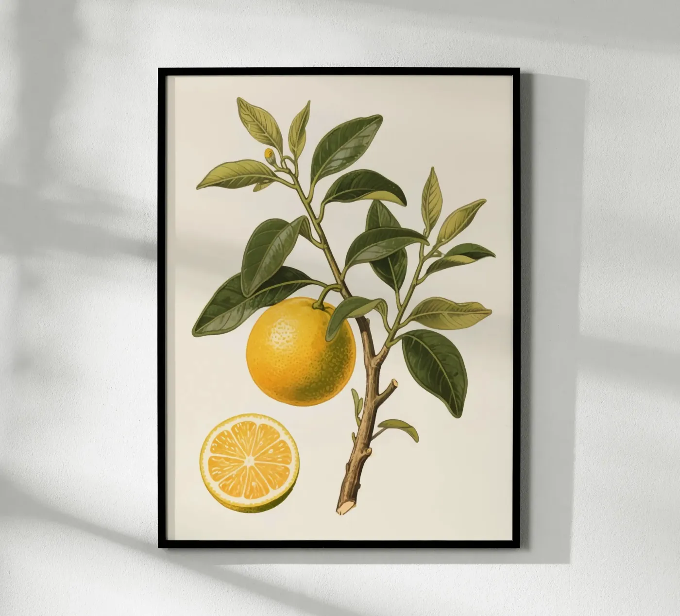 Fresh Orange poster by knowledge