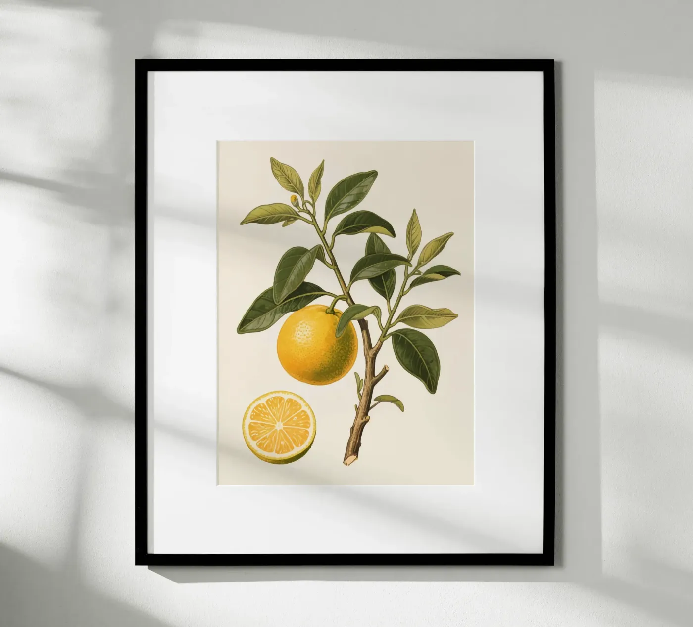 Fresh Orange poster by knowledge