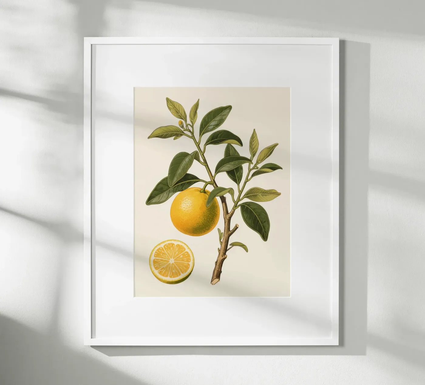 Fresh Orange poster by knowledge
