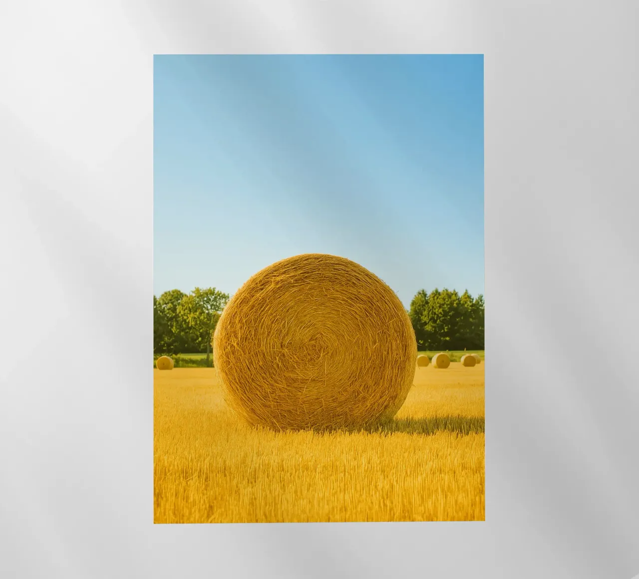 straw bale retro photography pellicola backlit da lottuz