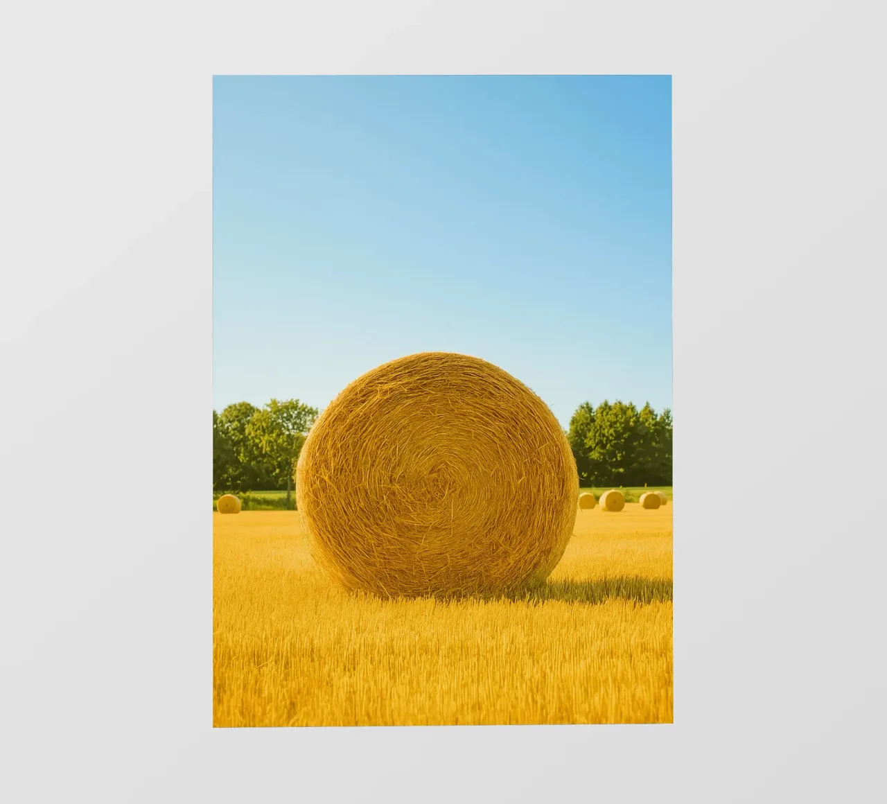 straw bale retro photography pellicola backlit da lottuz
