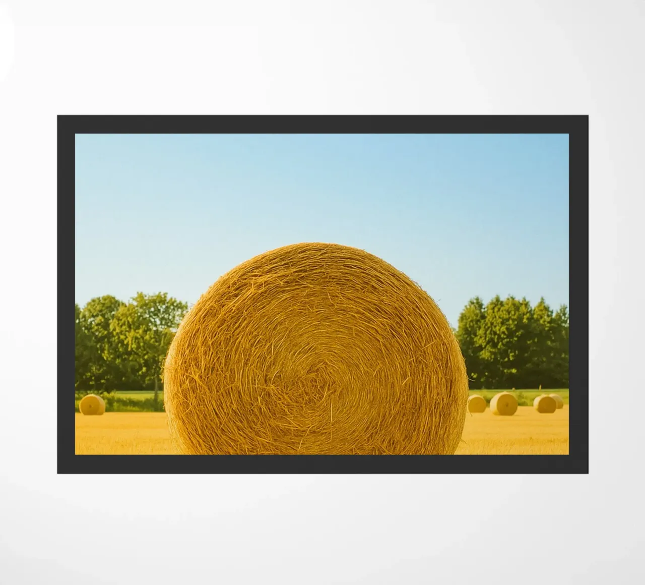 straw bale retro photography zerbino da lottuz