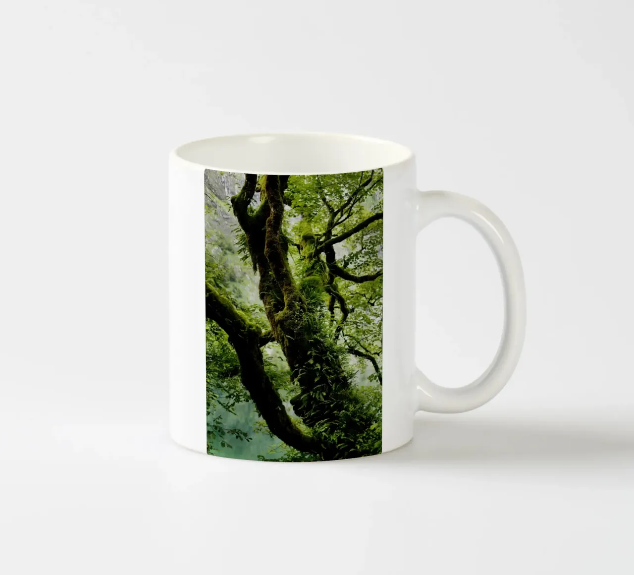 Albero sul Königssee tazza in ceramica da Simon Koy