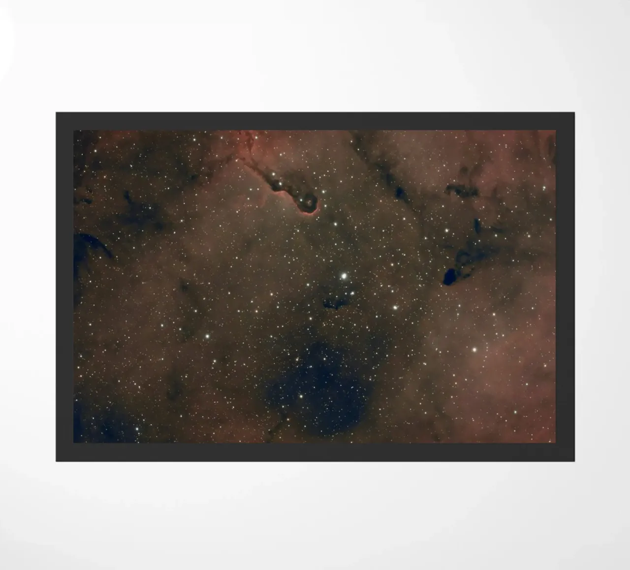la Via Lattea zerbino da Earthly Visions
