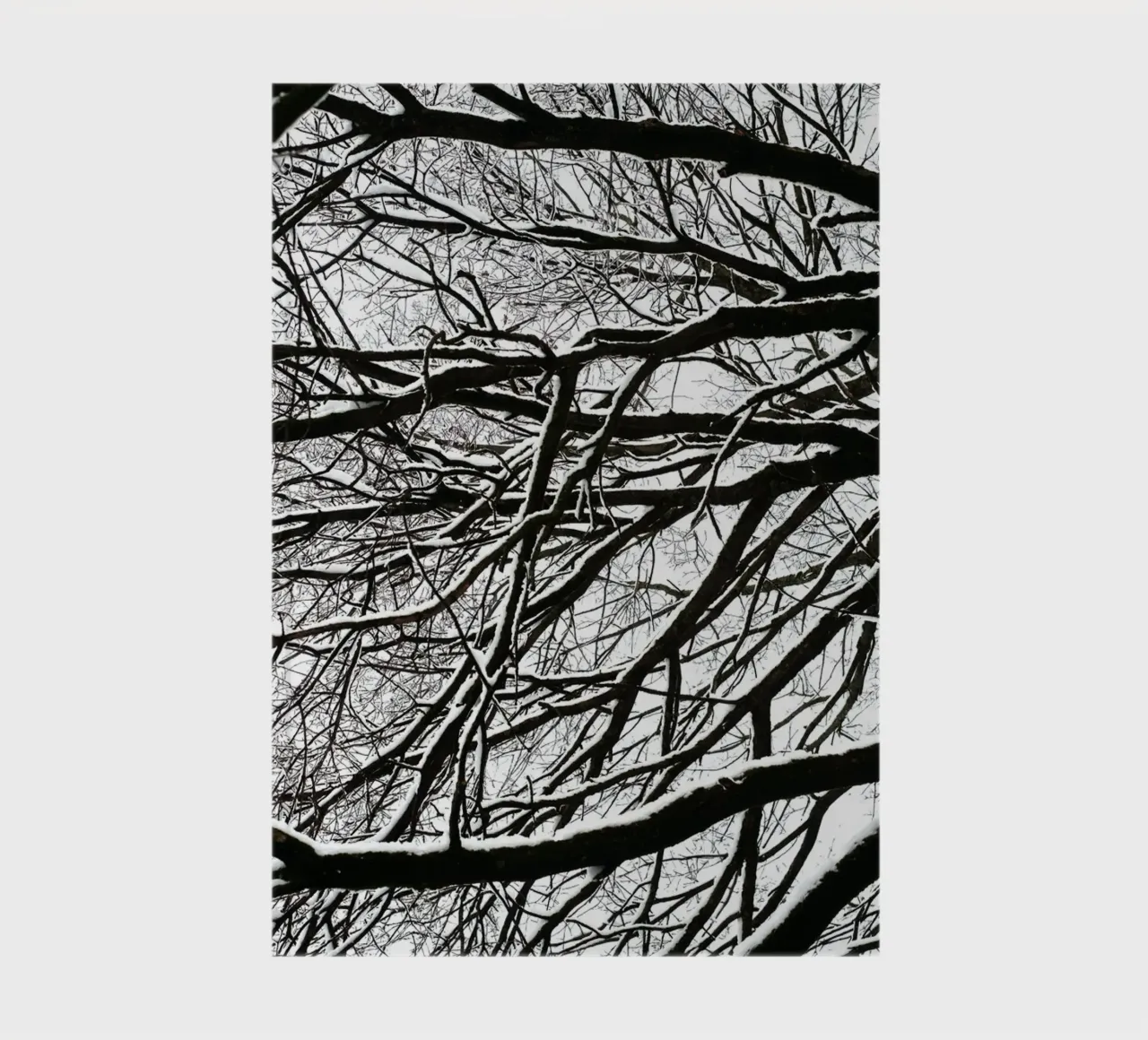 Tree details in Munich notebook by fotokunst