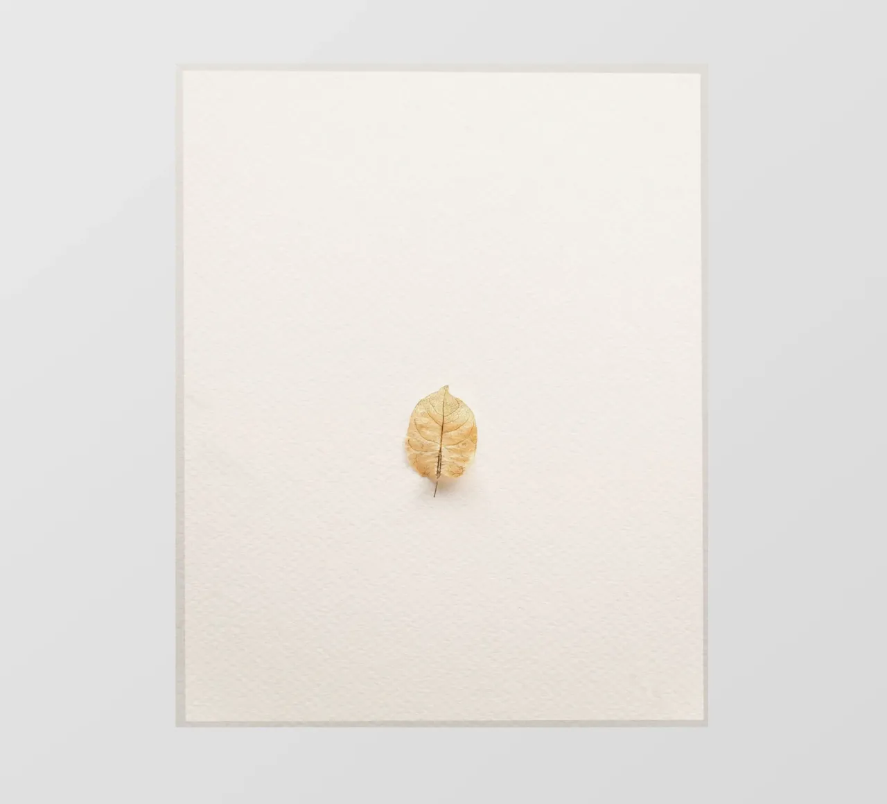 leaf in shade telo in pvc da Creaton