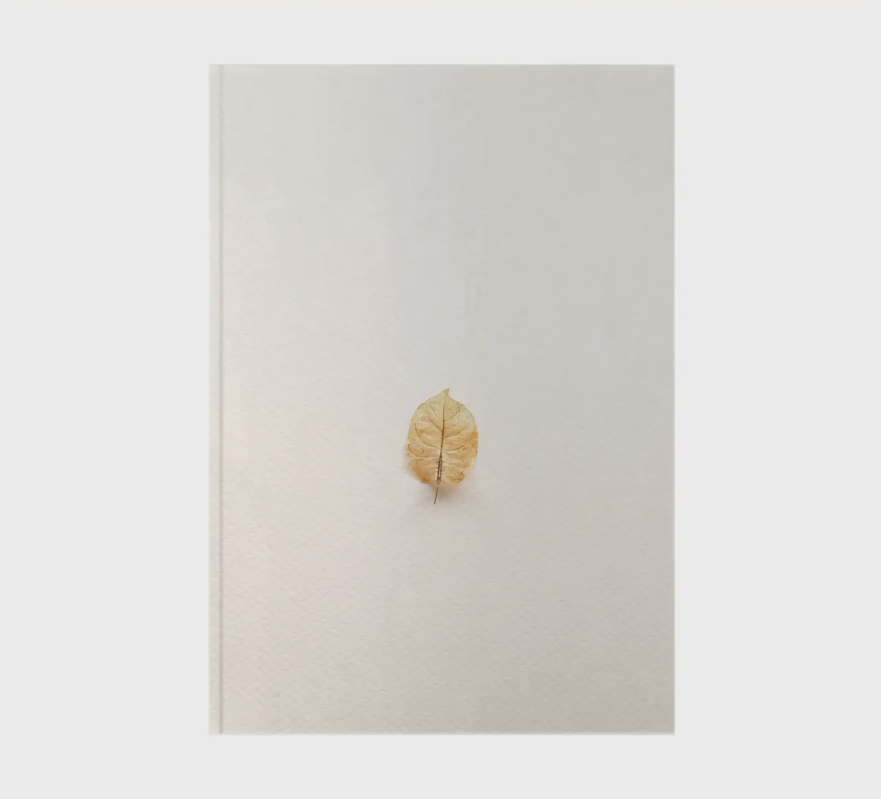 leaf in shade notebook by Creaton