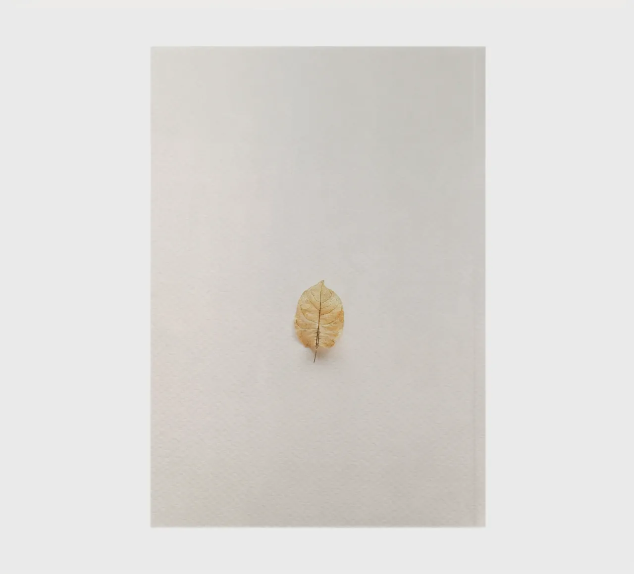 leaf in shade notebook by Creaton