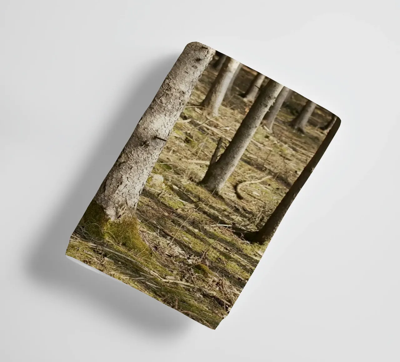 Tree details in Munich towel by Simon Koy