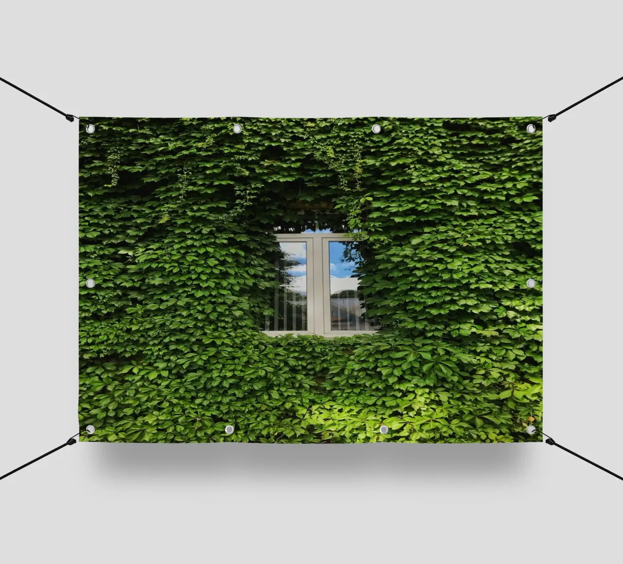 window in leaf wall telo in pvc da beney