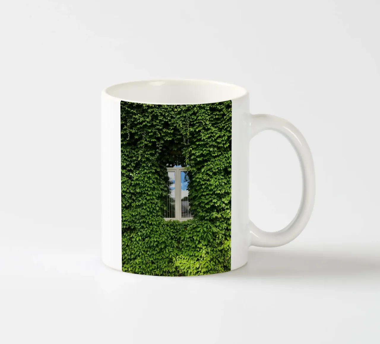 window in leaf wall tazza in ceramica da beney
