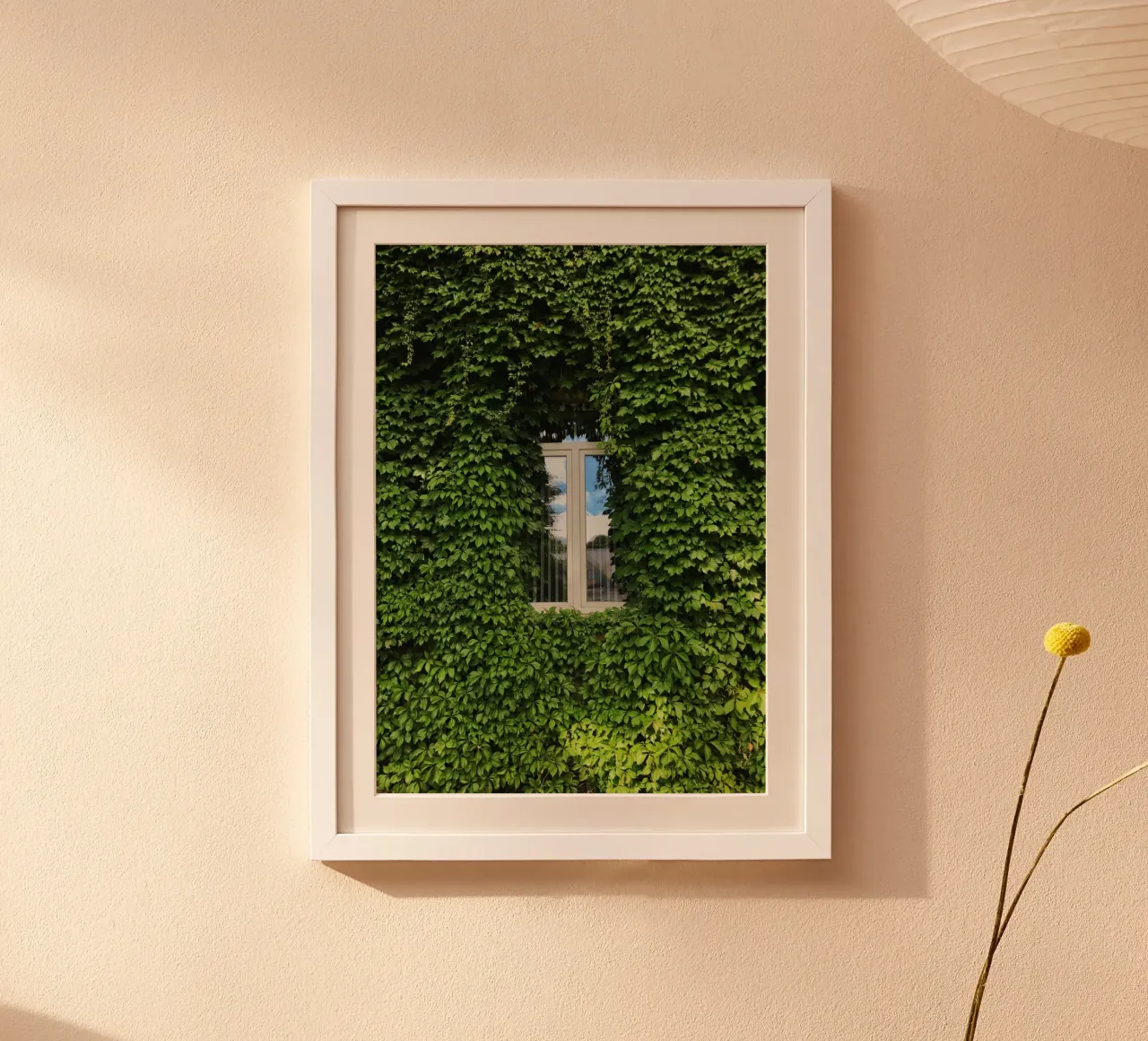 window in leaf wall carta hahnemühle da beney