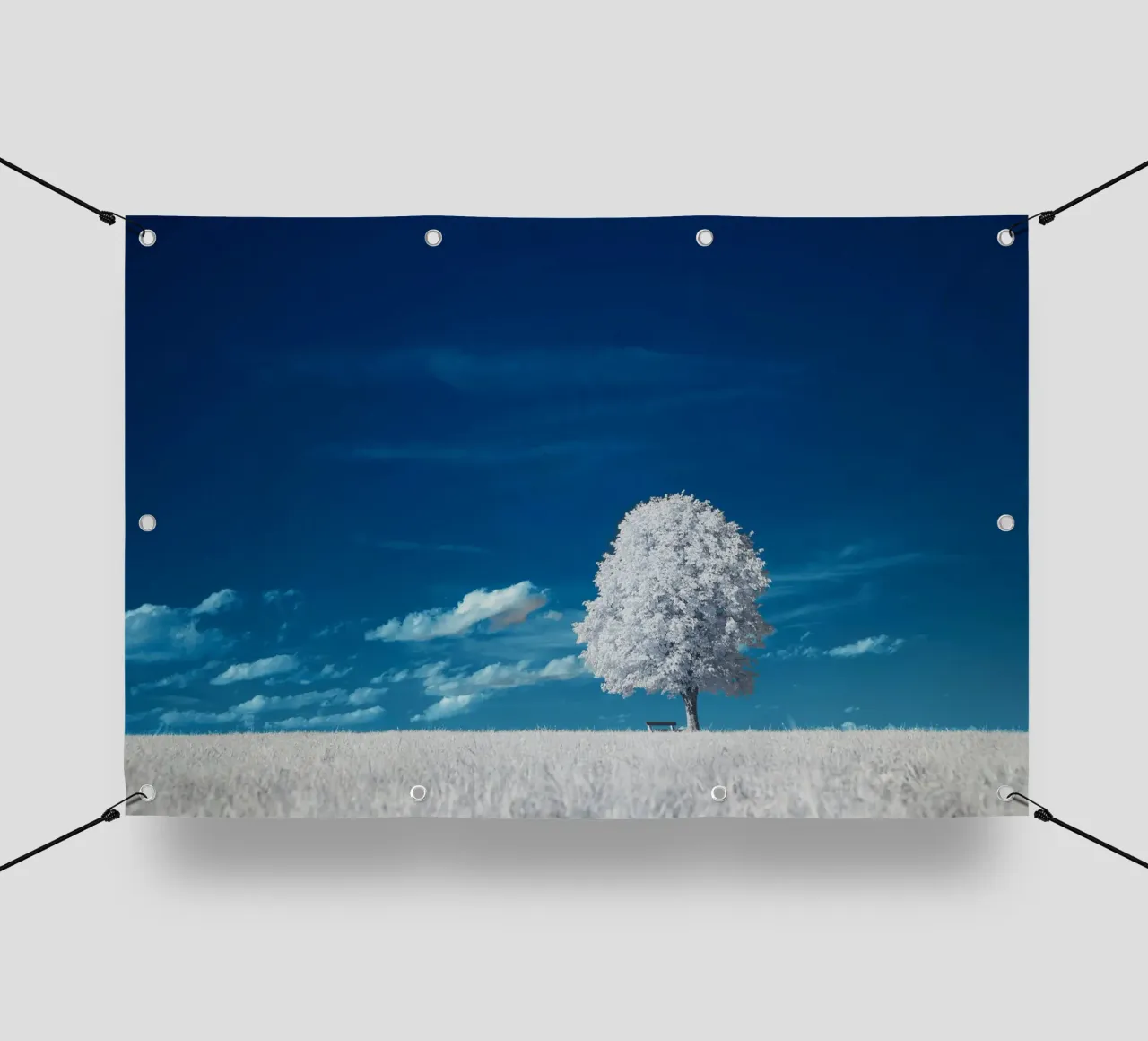 white field tree telo in pvc da beney