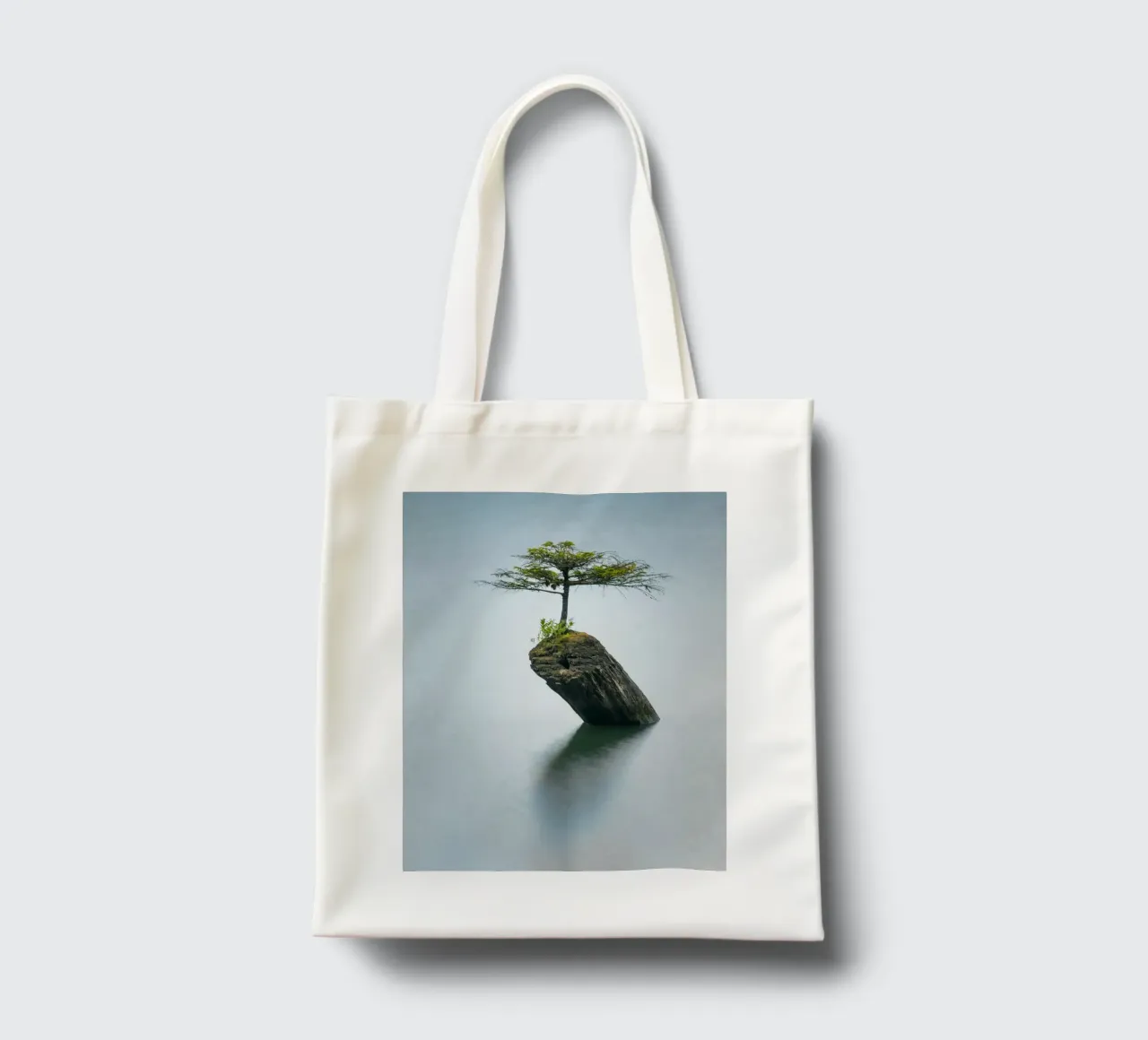 single tree on rock borsa in juta da morgal