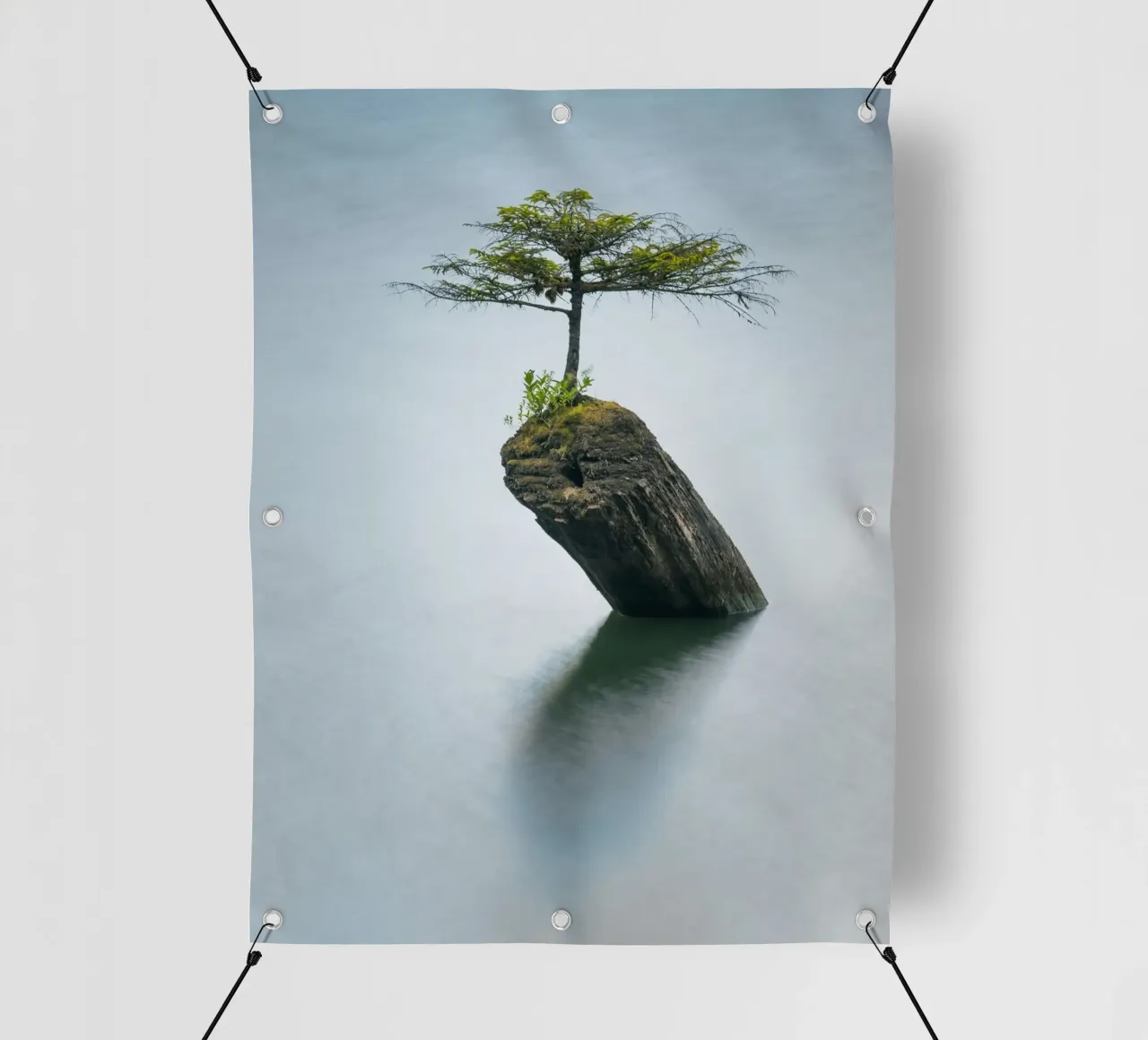 single tree on rock telo in pvc da morgal