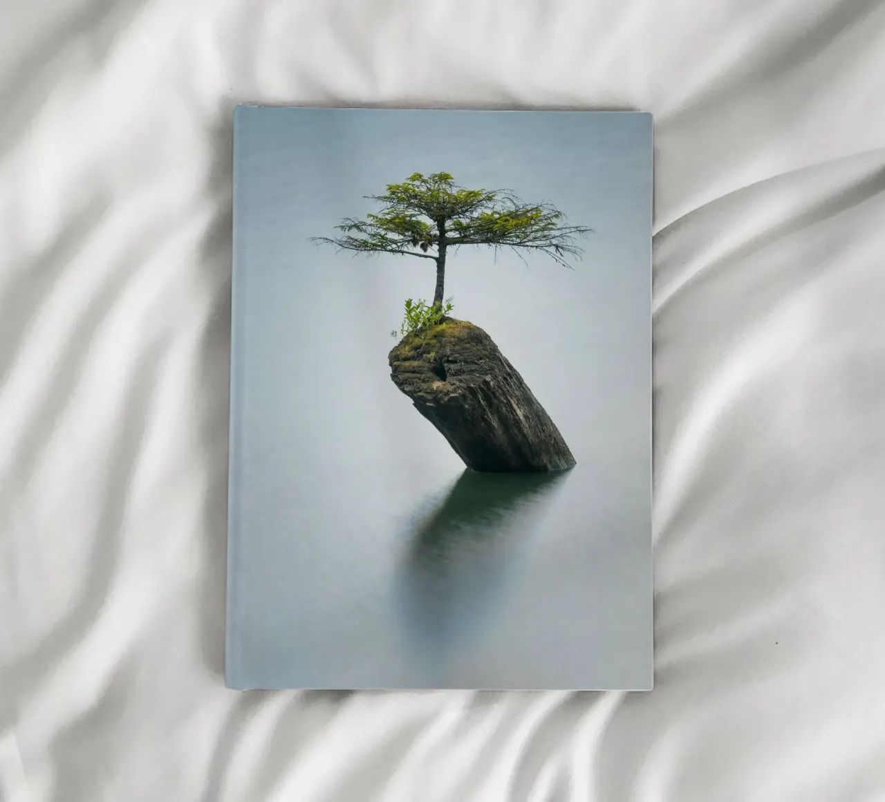 single tree on rock notebook by morgal
