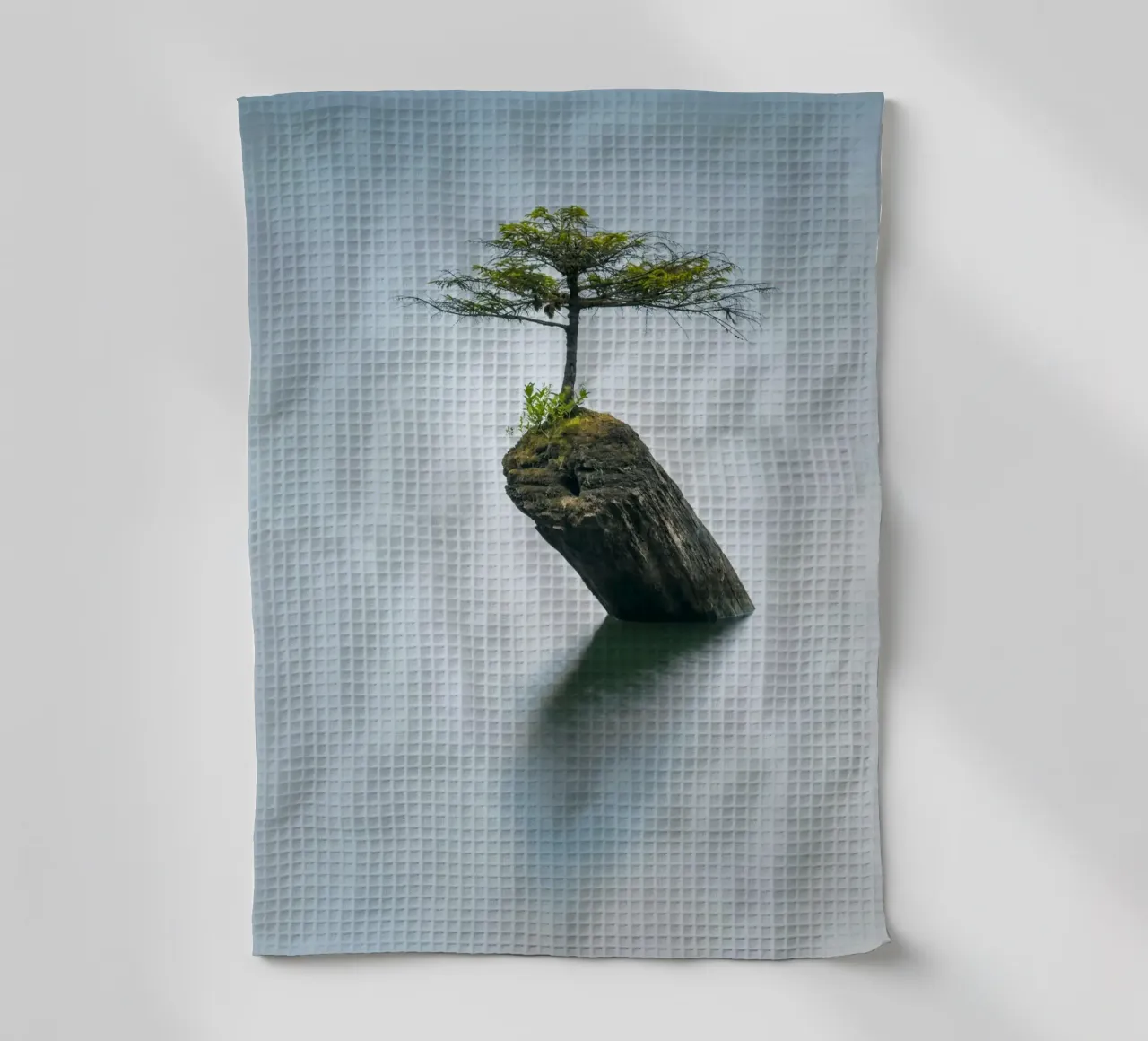 single tree on rock canovaccio da cucina da morgal