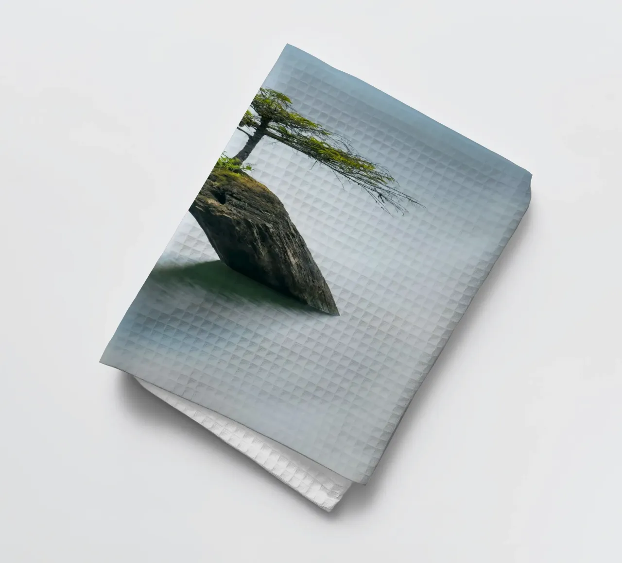 single tree on rock canovaccio da cucina da morgal