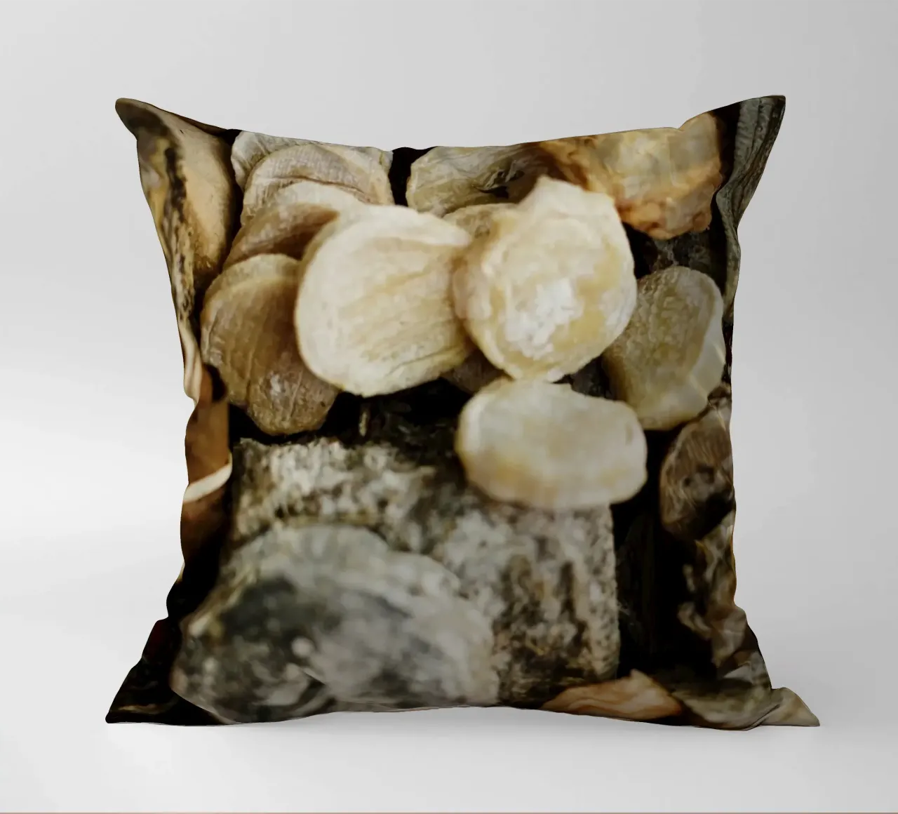 Formaggio del Perigord cuscino da Simon Koy