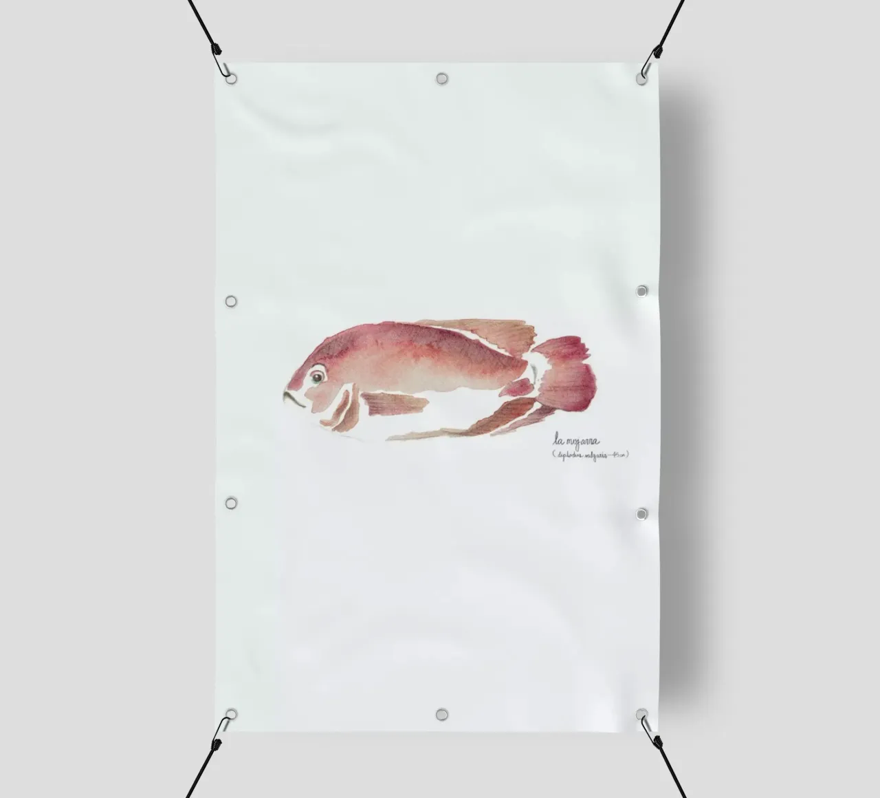 La Mojarra Roja ( red crappie) telo in pvc da Sandra De Leon