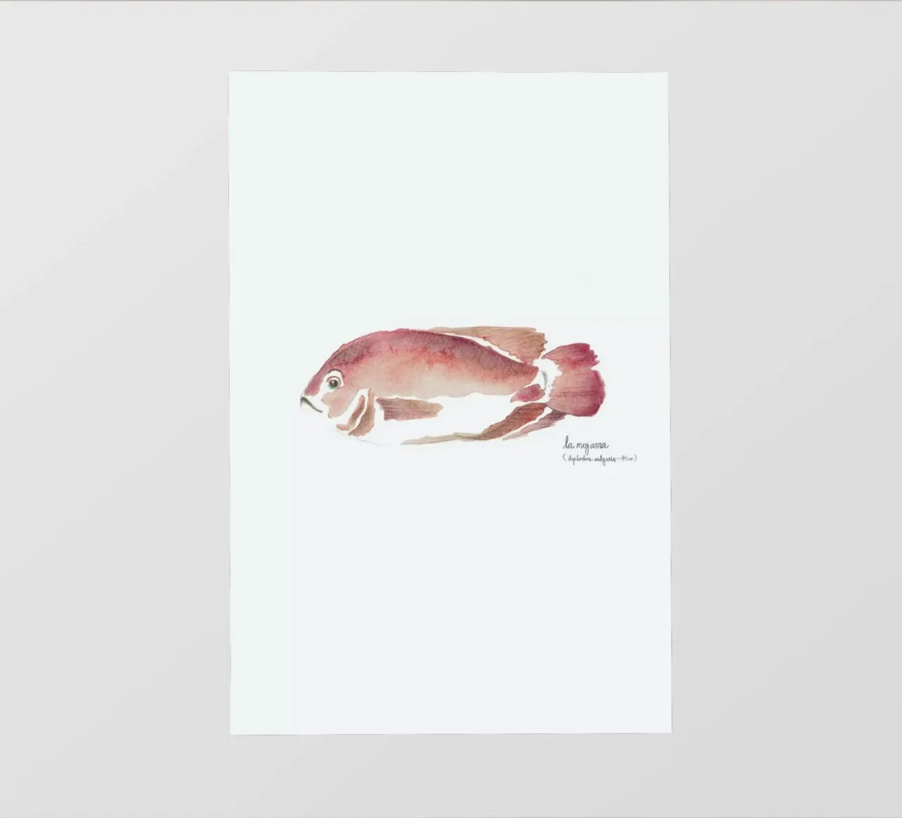 La Mojarra Roja ( red crappie) telo in pvc da Sandra De Leon