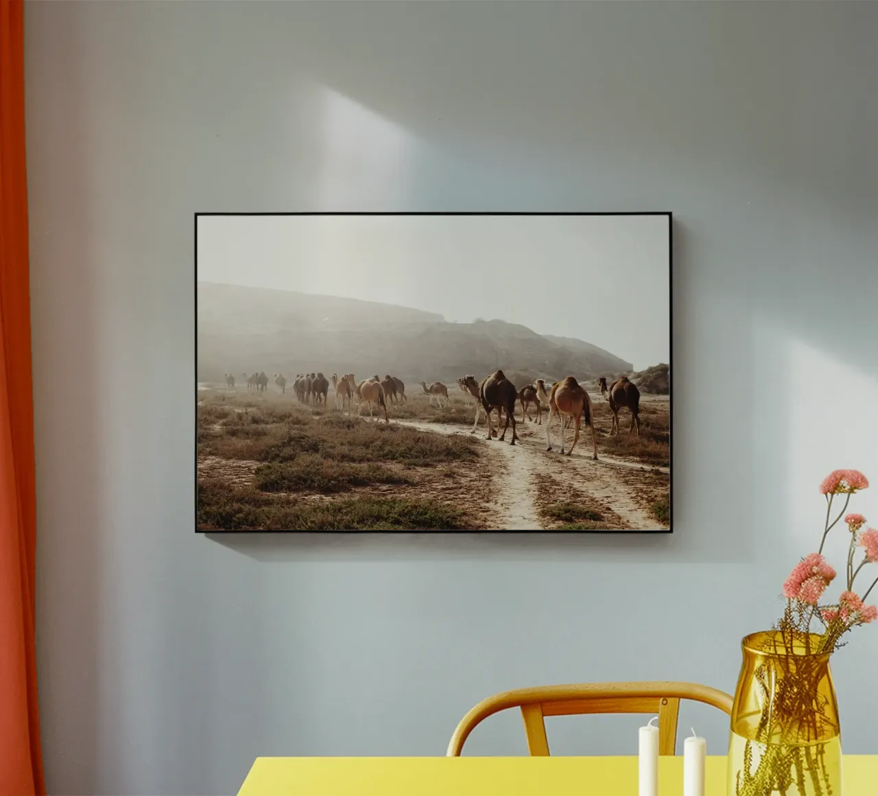 Kamele in Marocco plexiglass da fotokunst