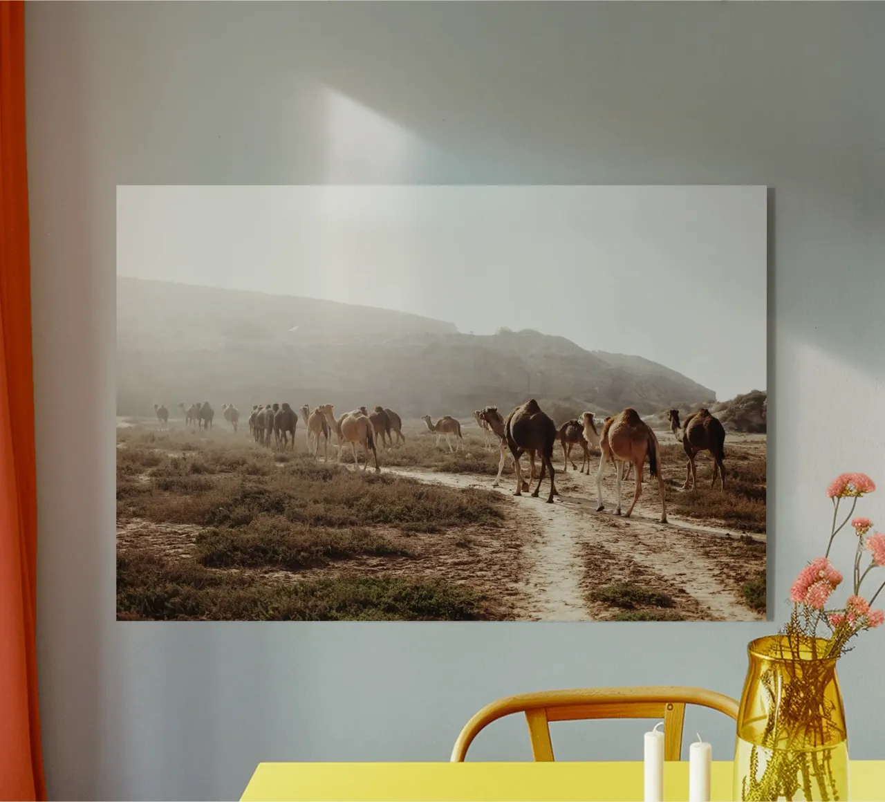 Kamele in Marocco plexiglass da fotokunst