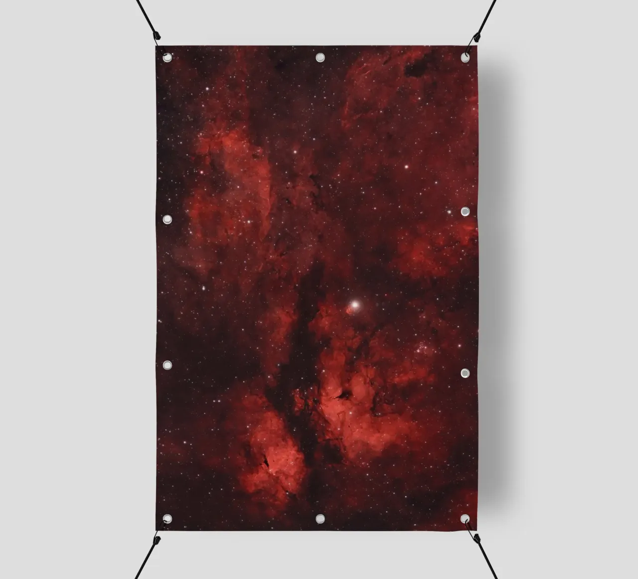 red starlight telo in pvc da morgal