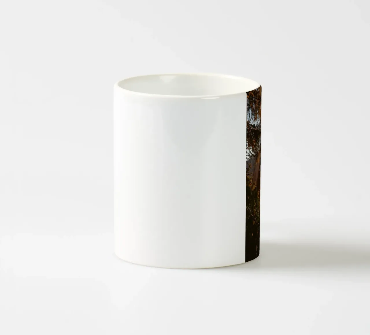 home stage in forest tazza in ceramica da morgal