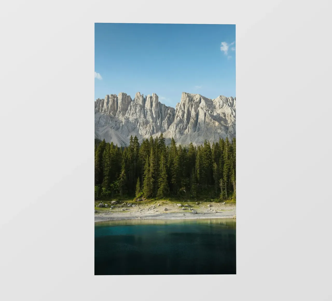 forest on lake telo in pvc da marty