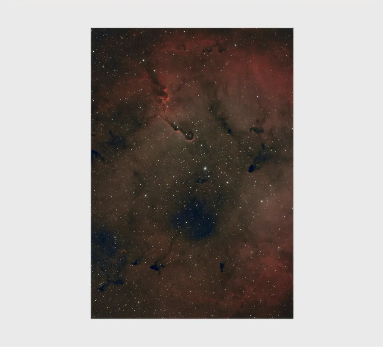 starry shape notebook by juli