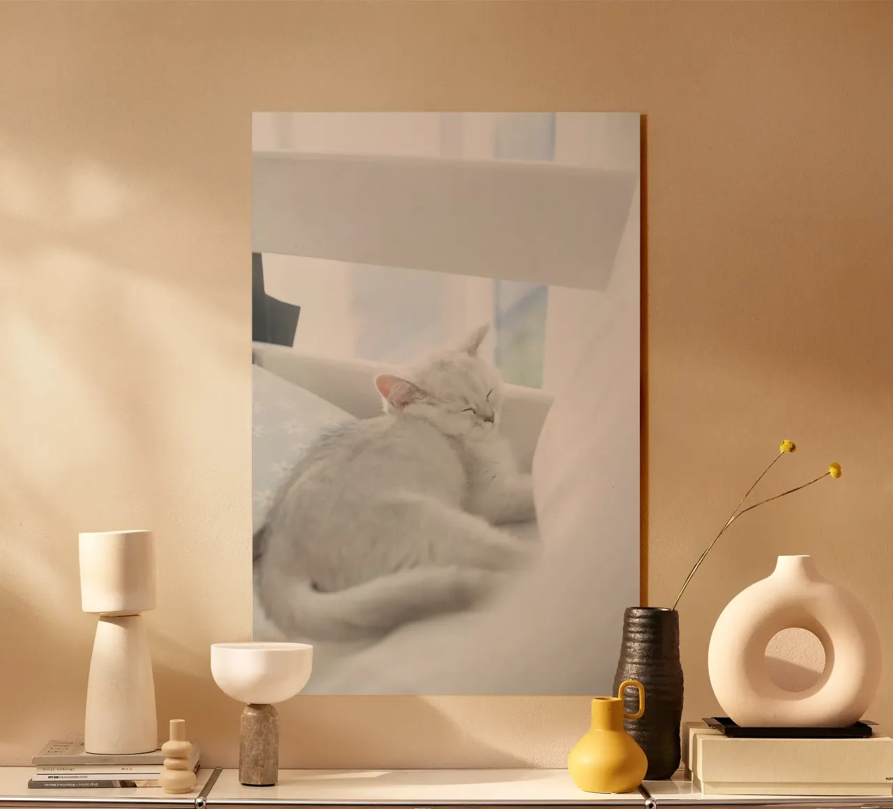 cat in white plexiglass da juli