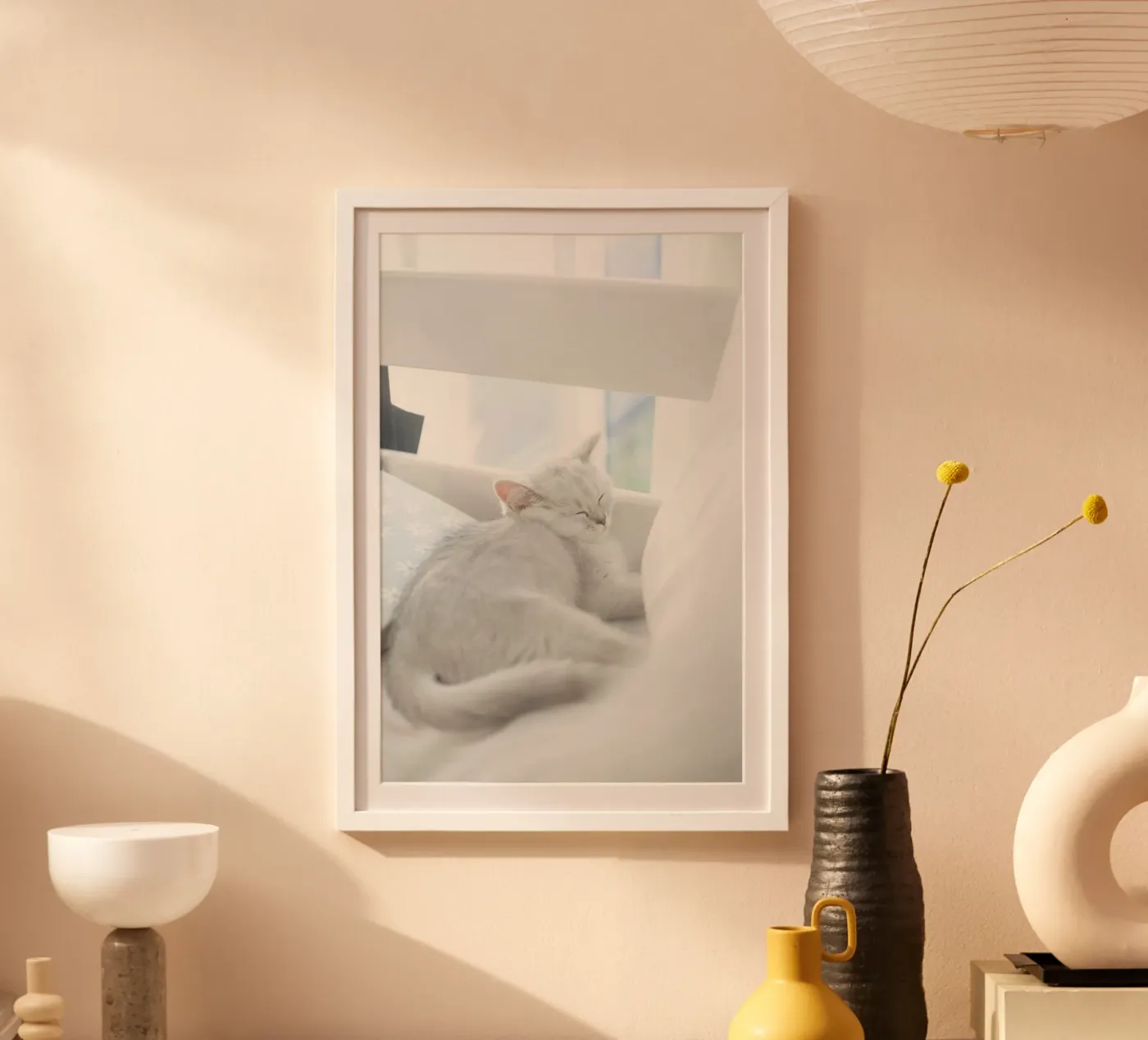 cat in white poster da juli