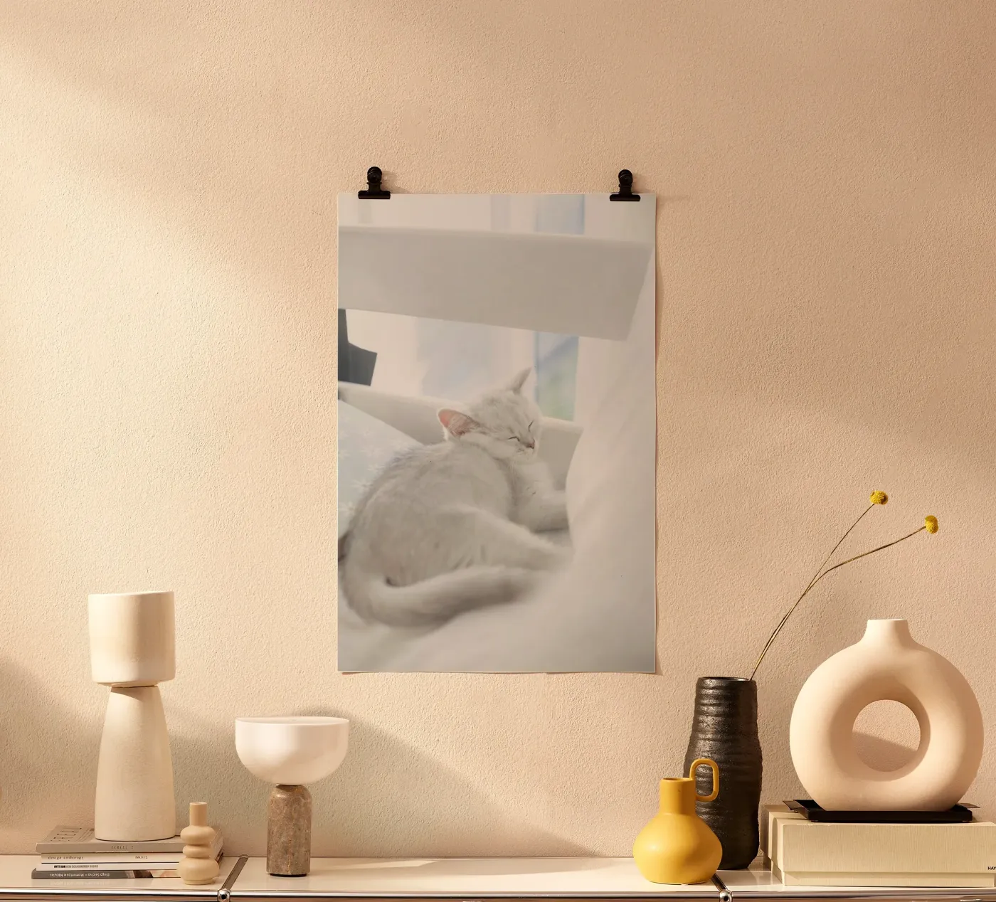 cat in white poster da juli