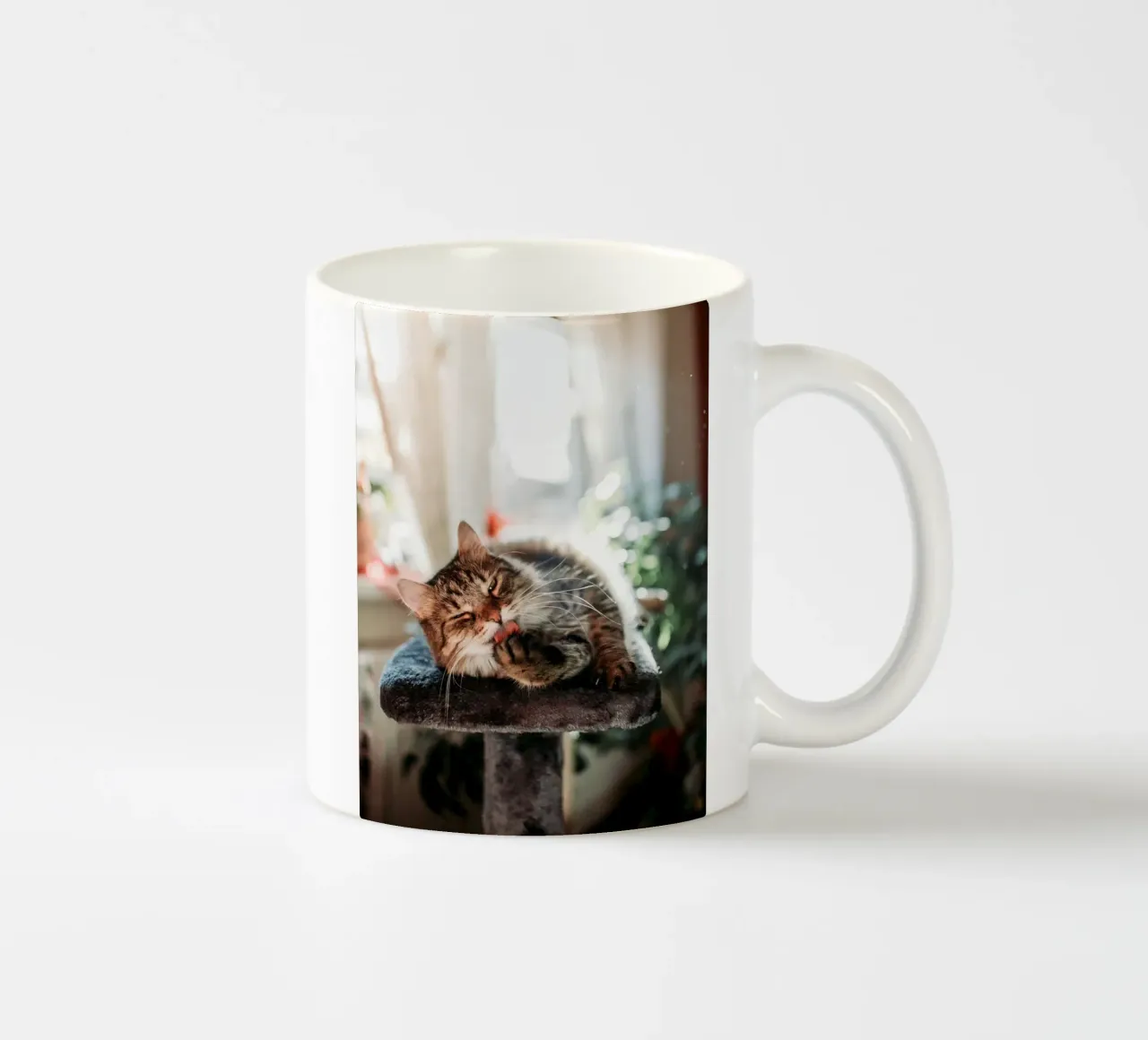 playful cat in house tazza in ceramica da juli