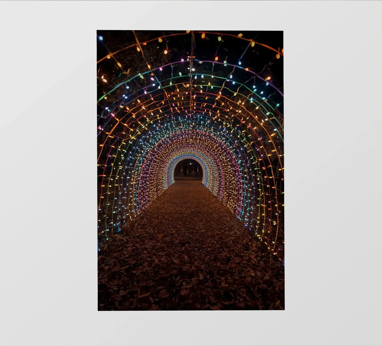 Tunnel ad arco con luci colorate e foglie cadute pellicola backlit da DesignDoodle