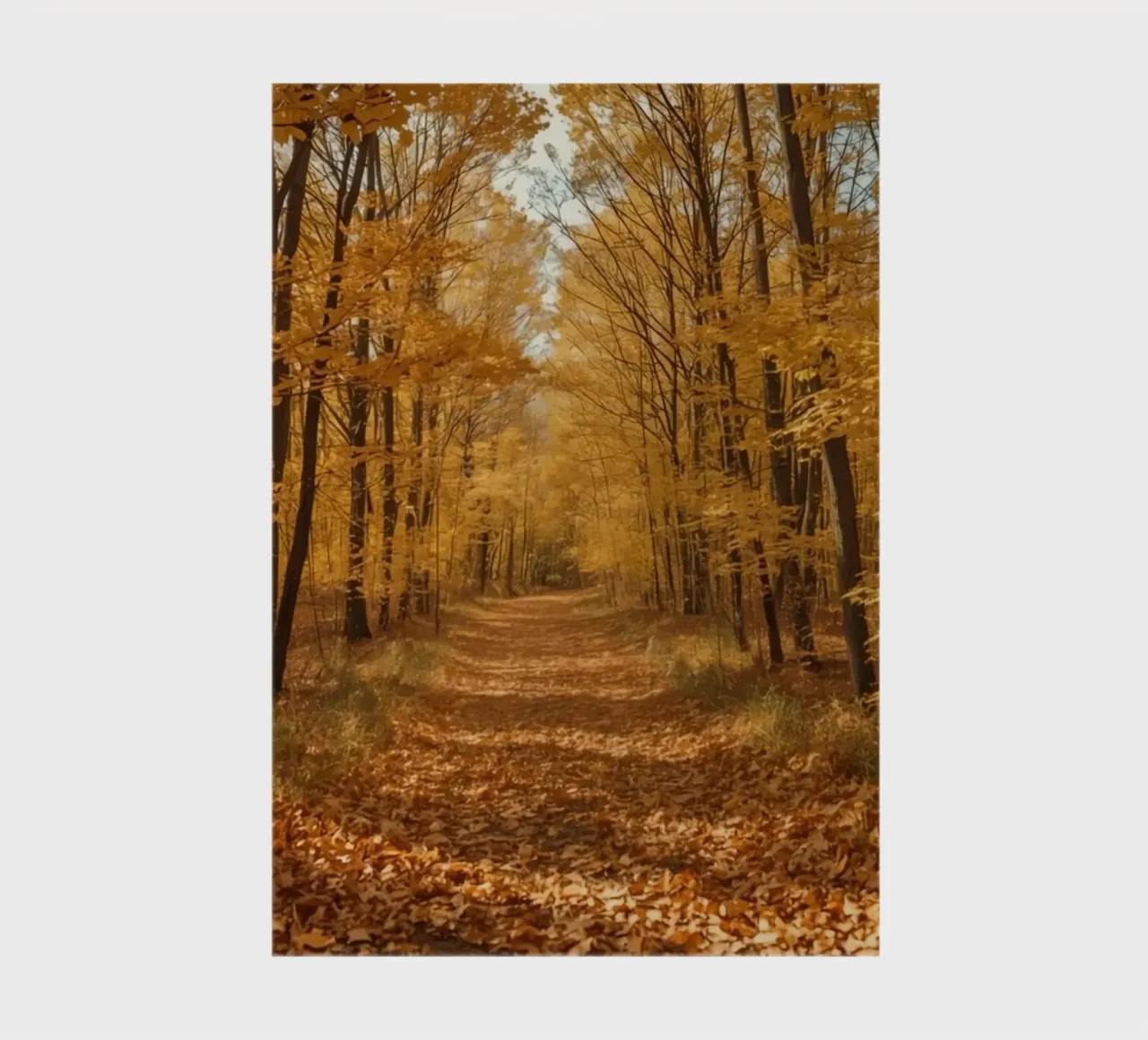 Chemin forestier d'automne avec feuillage jaune carnet de notes de DesignDoodle