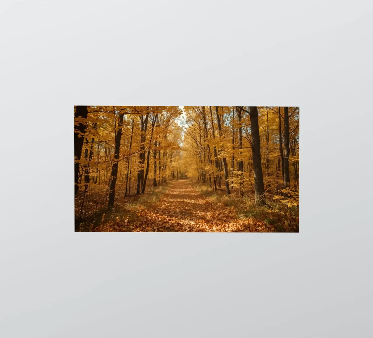 Chemin forestier d'automne avec feuillage jaune autocollant de DesignDoodle