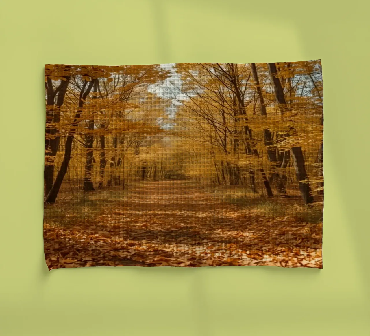 Chemin forestier d'automne avec feuillage jaune torchon de DesignDoodle