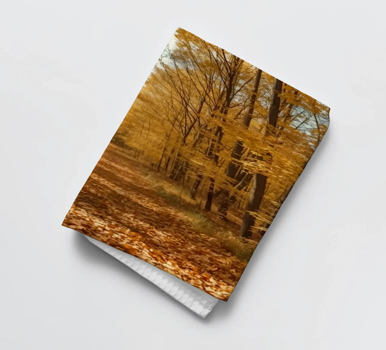 Chemin forestier d'automne avec feuillage jaune torchon de DesignDoodle